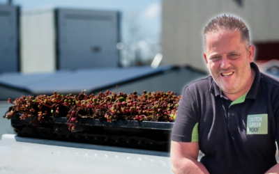 Dutch Greenroof – rendre le self-stockage plus écologique